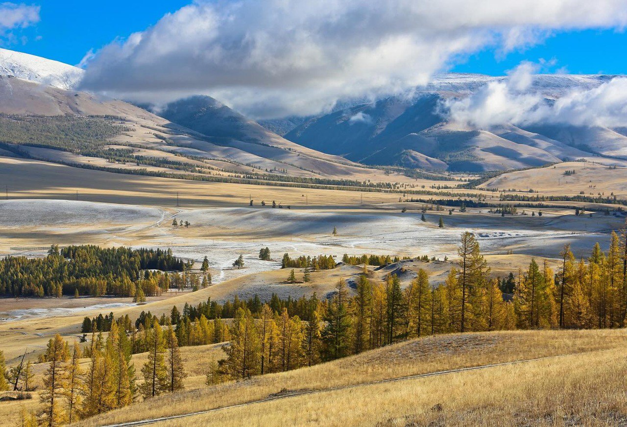 Курайская степь