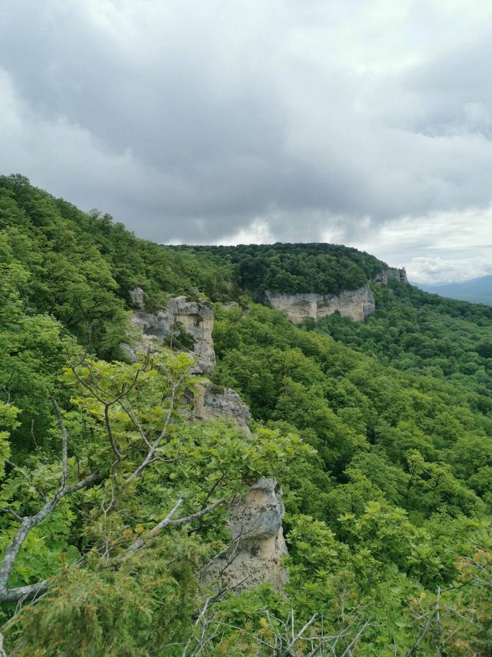 Савранская канатная дорога