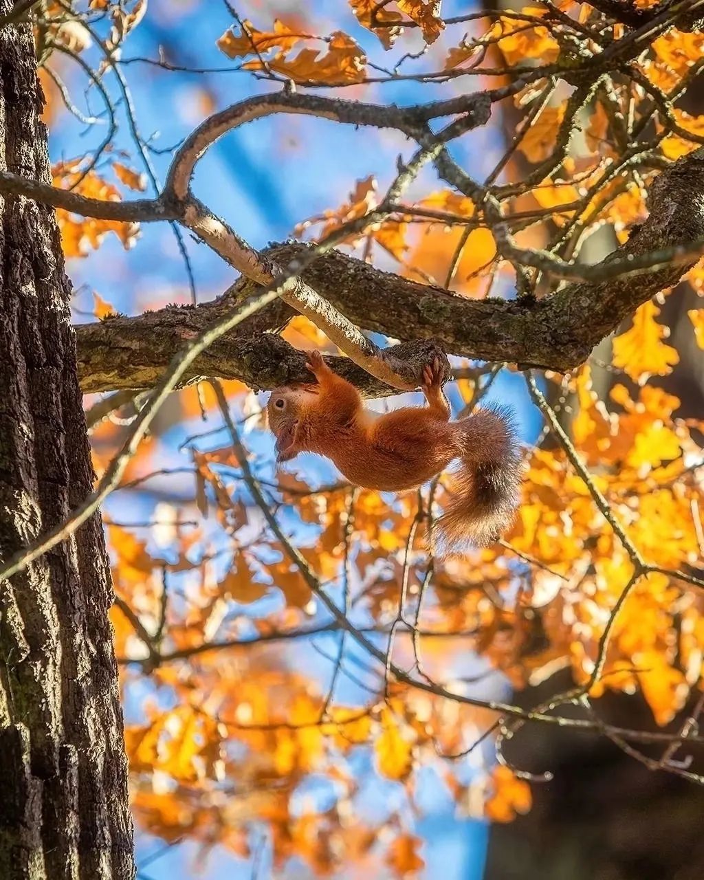 Екатерининский парк