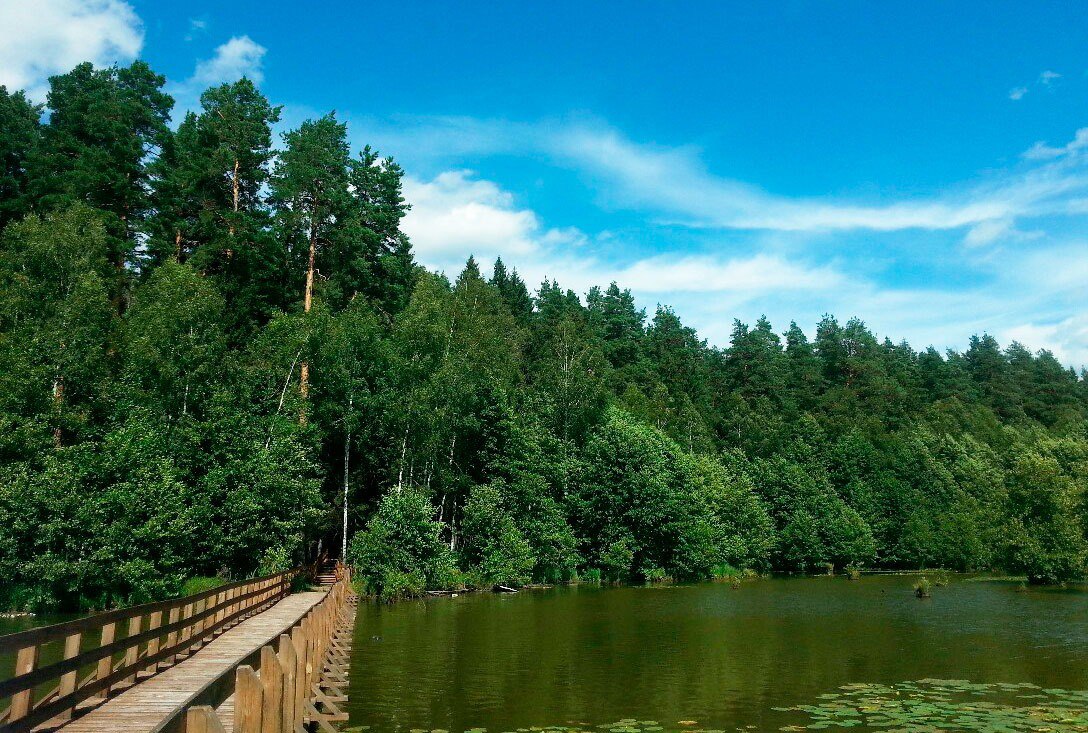 Мордовский заповедник