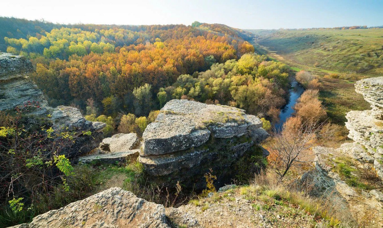 Заповедник Галичья гора