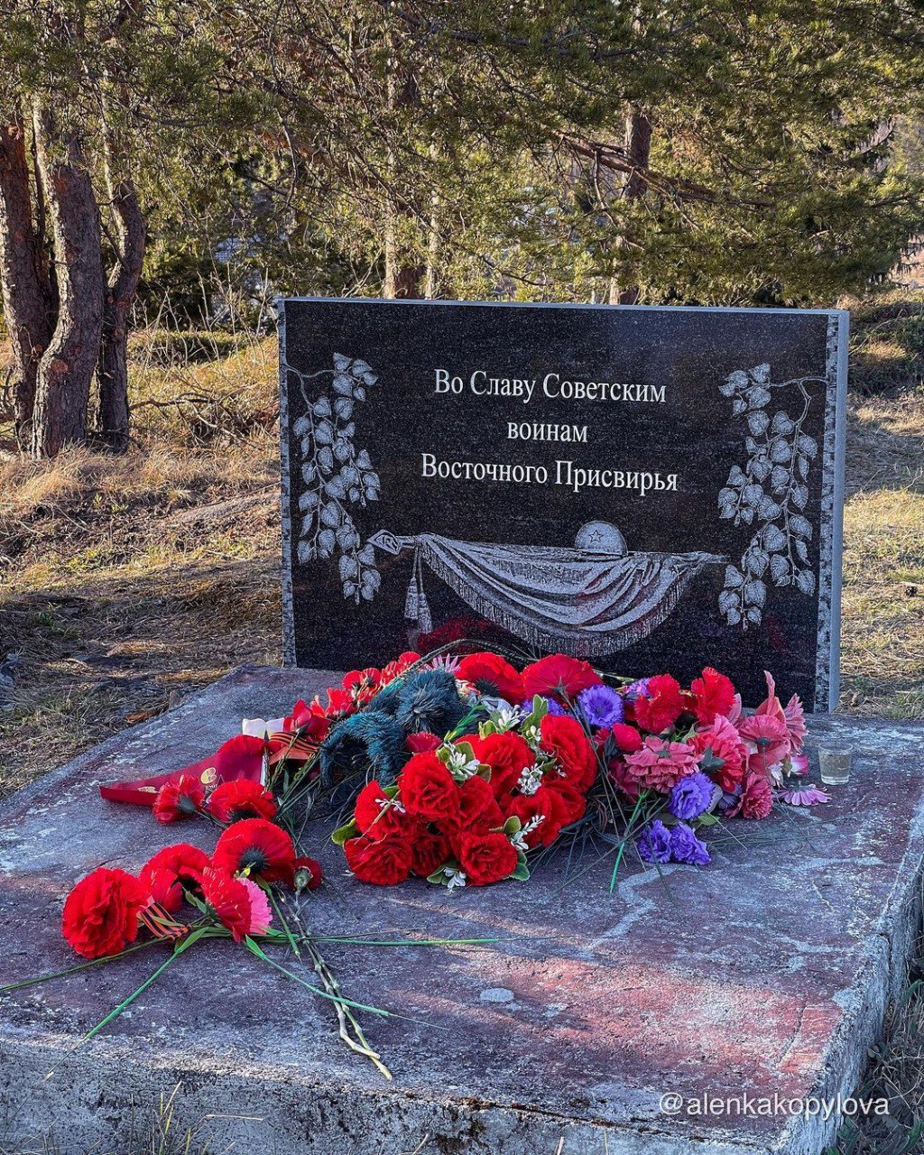 Глаз росомахи