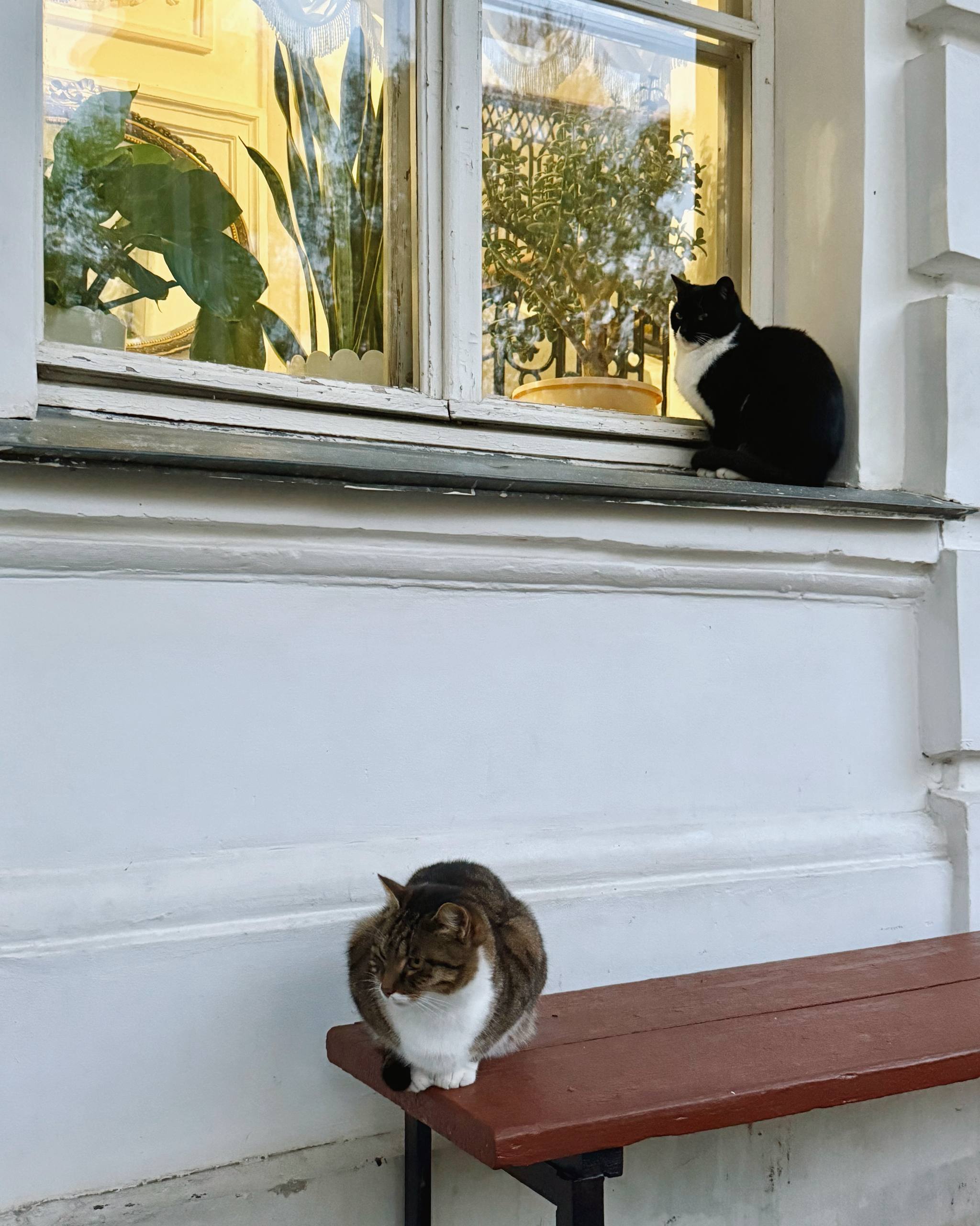 Пейзажный парк в Богородицке
