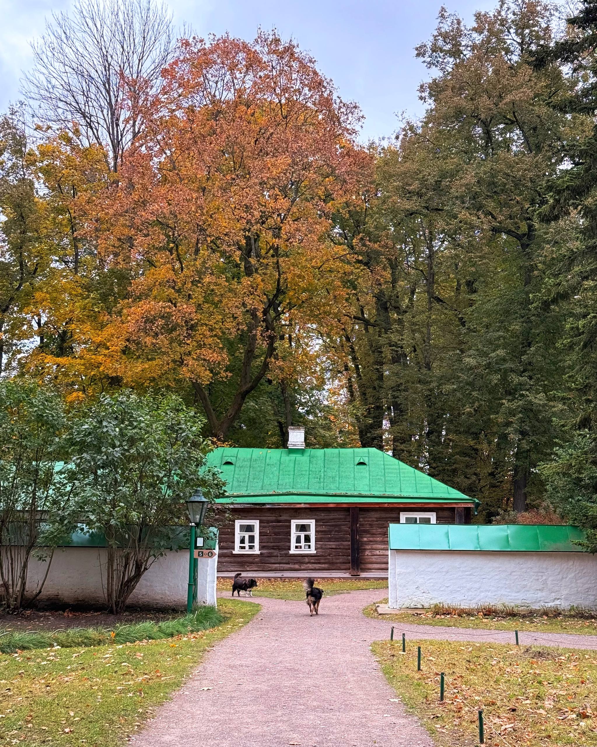 Ясная Поляна