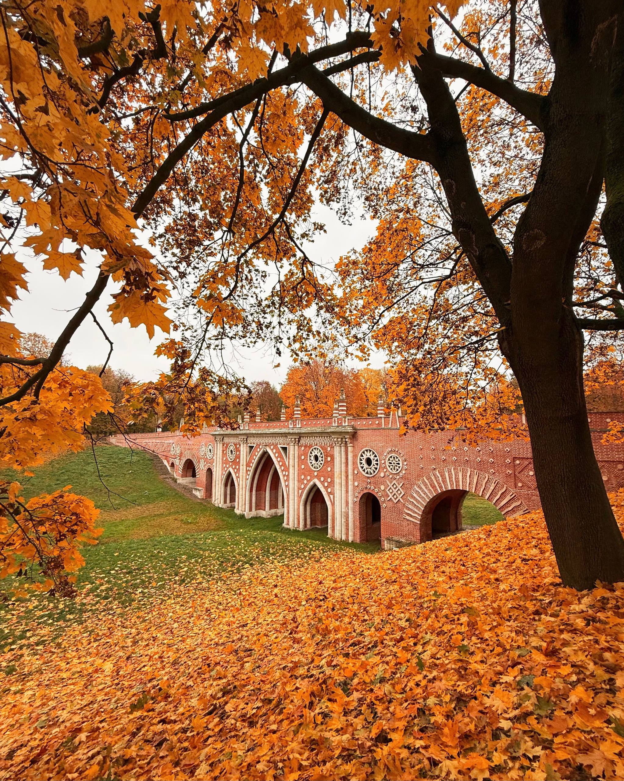 Парк Царицыно