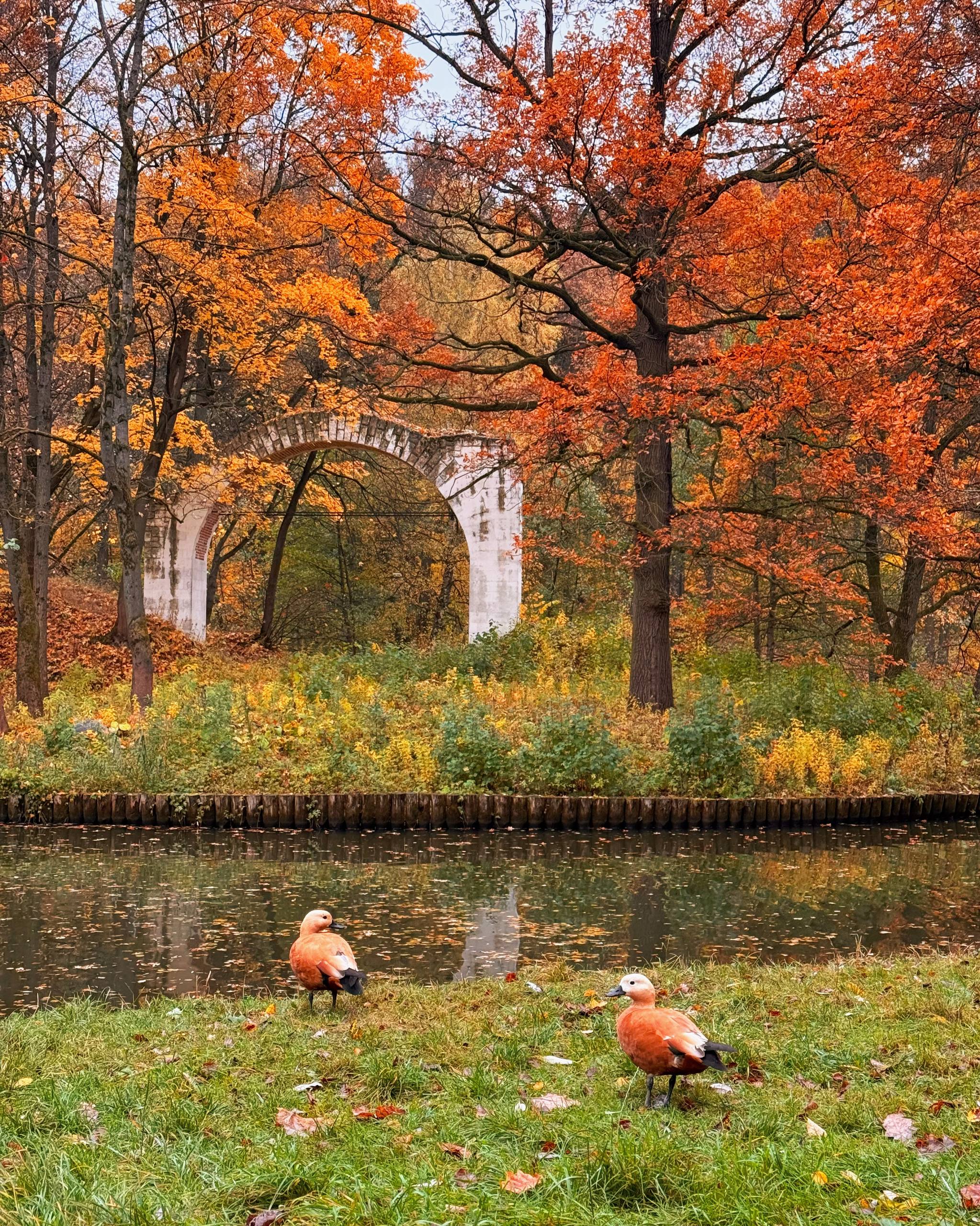 Парк Царицыно
