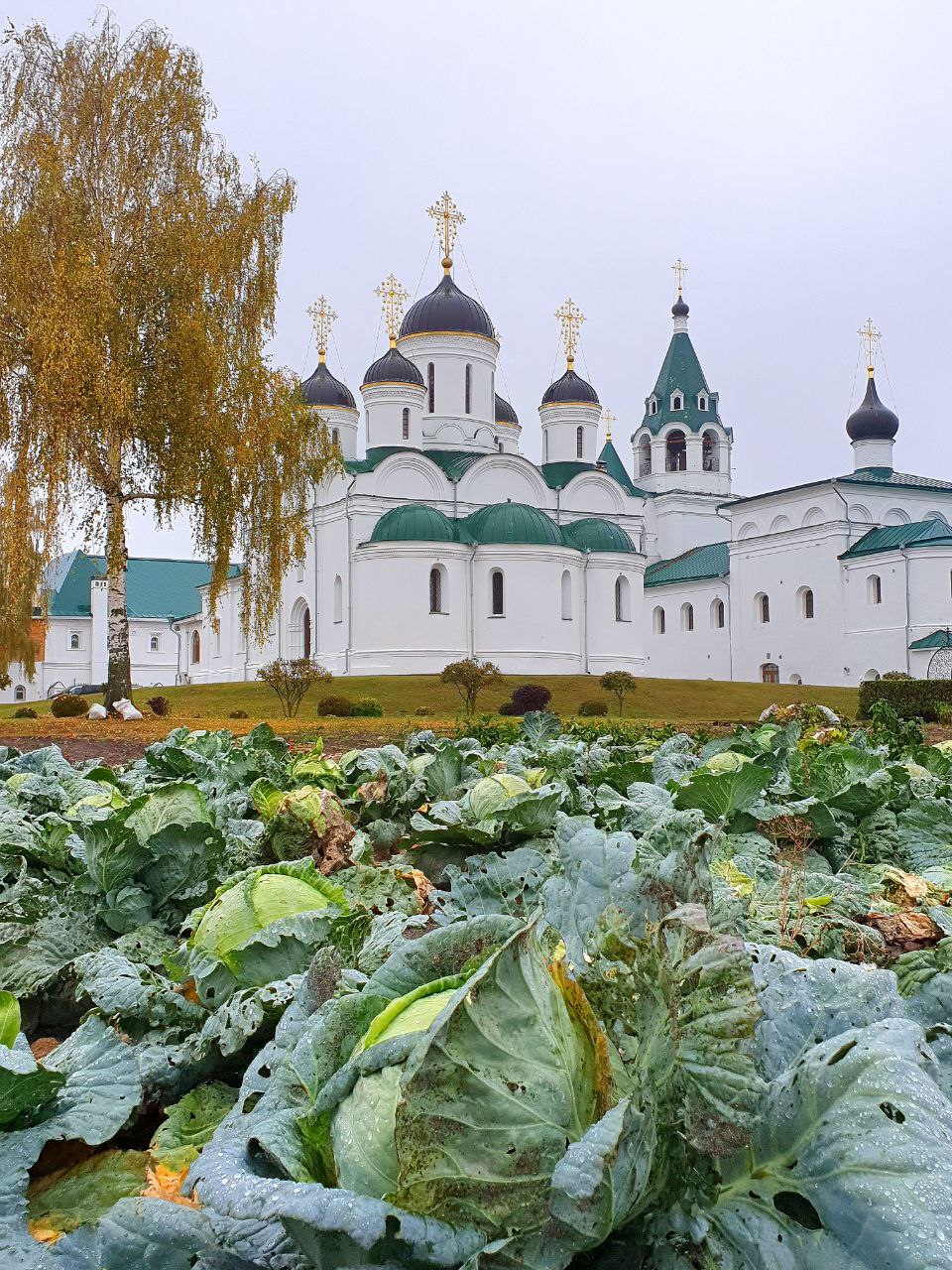 Город Муром