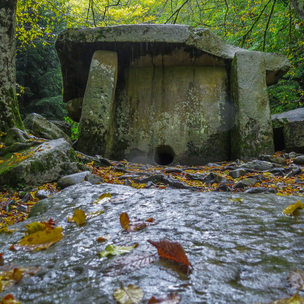 Кордон Гузерипль