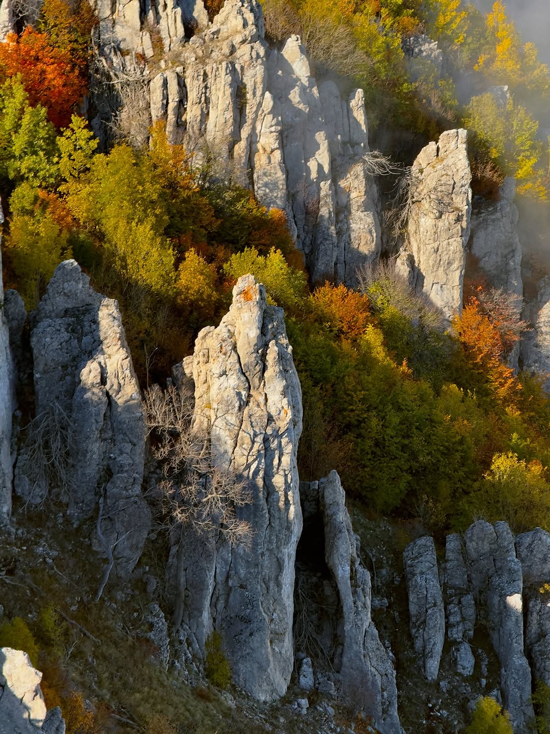Перья Хапхала
