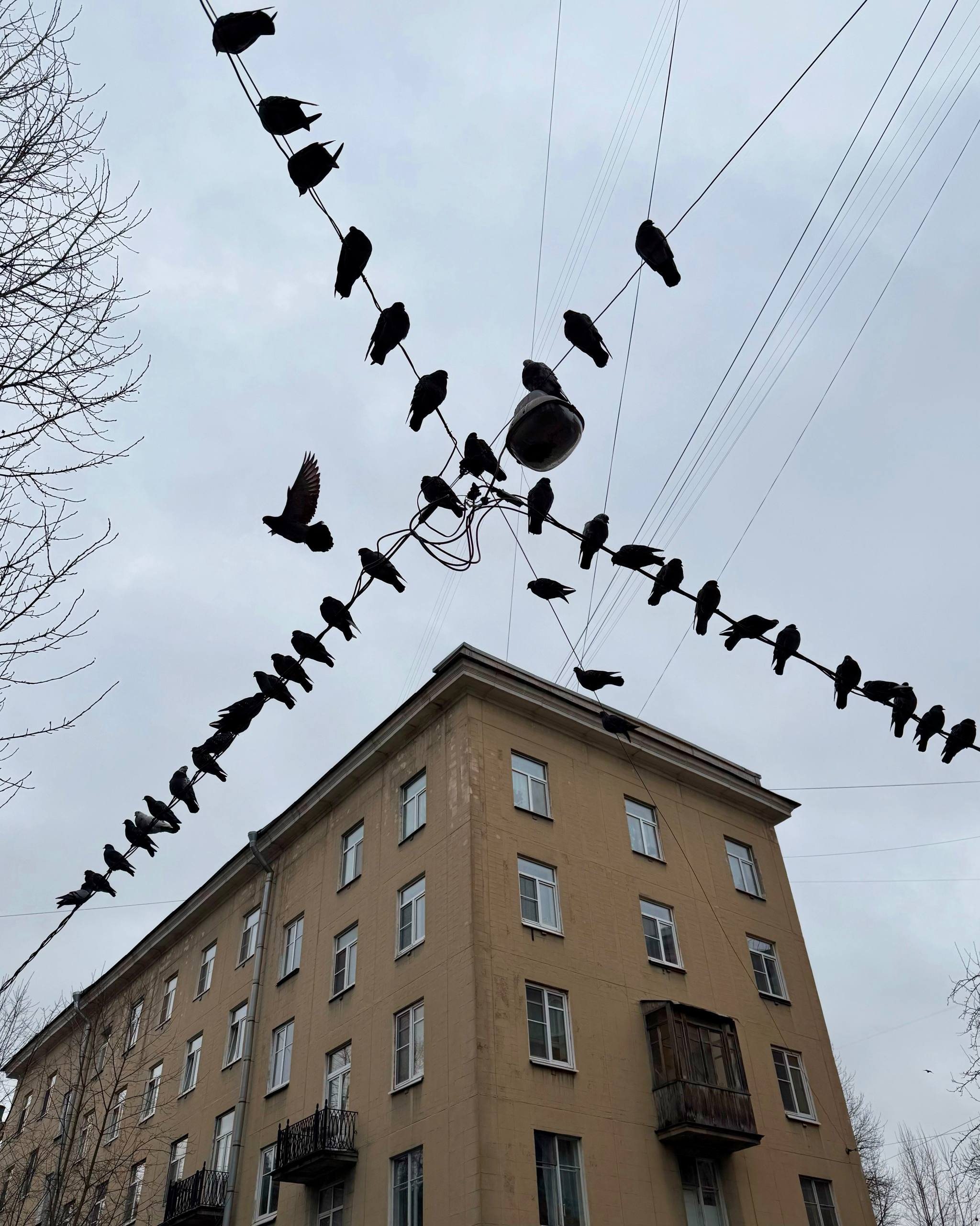 Дом-колбаса