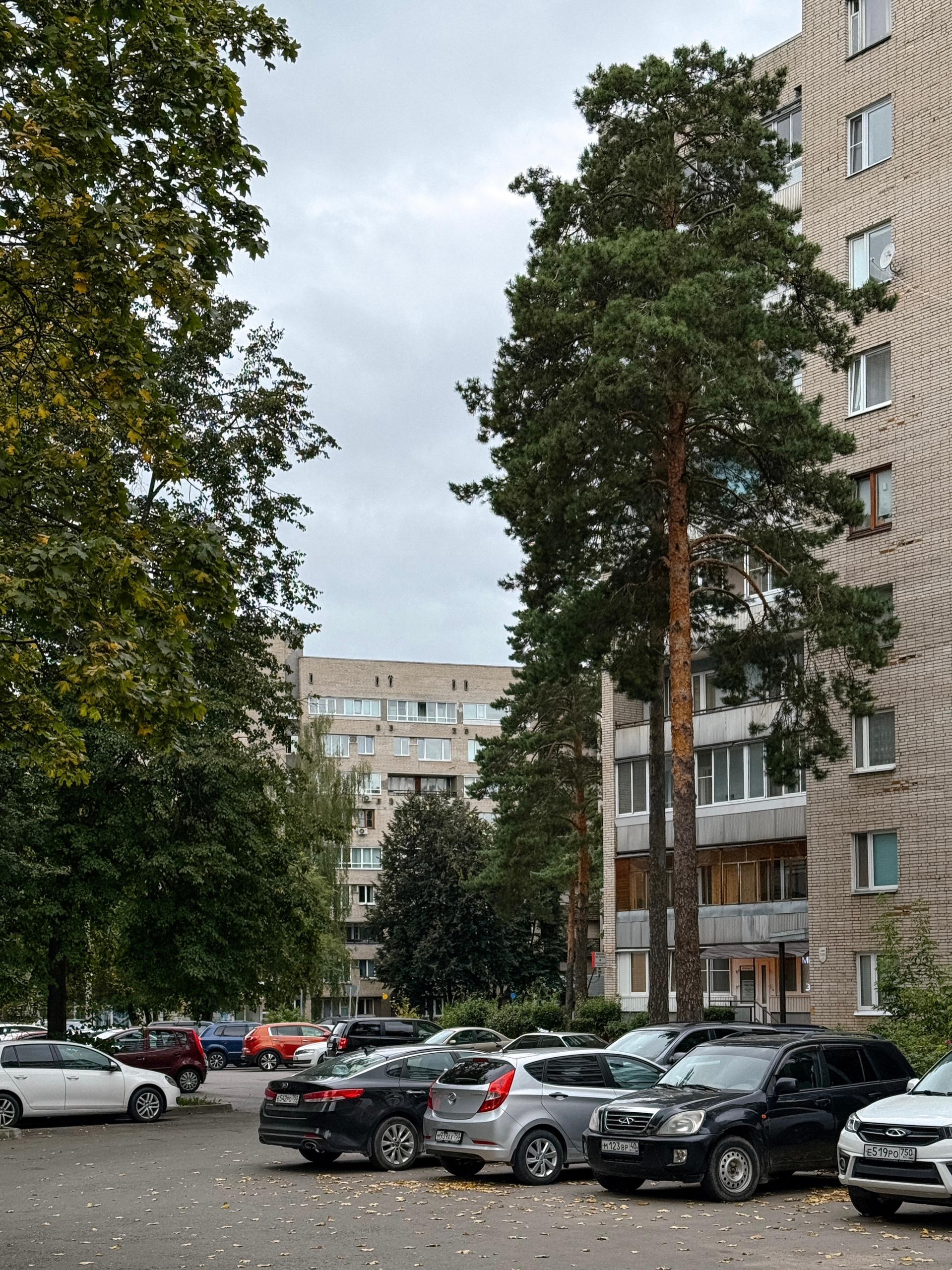 Город Протвино