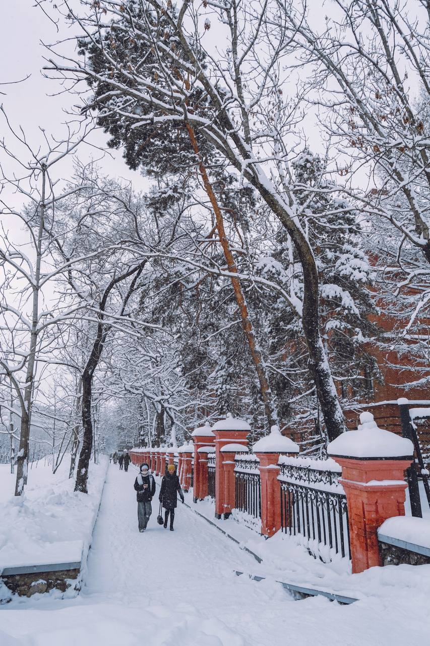 Хабаровский край