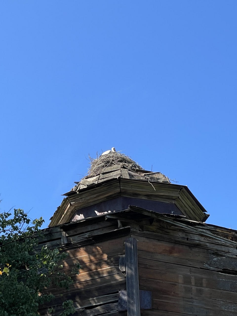 Церковь Покрова в Сольцах