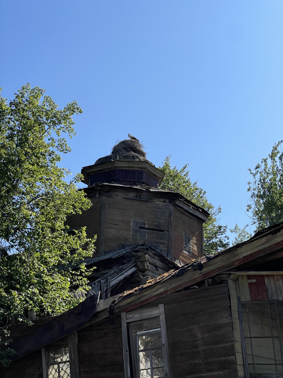 Церковь Покрова в Сольцах