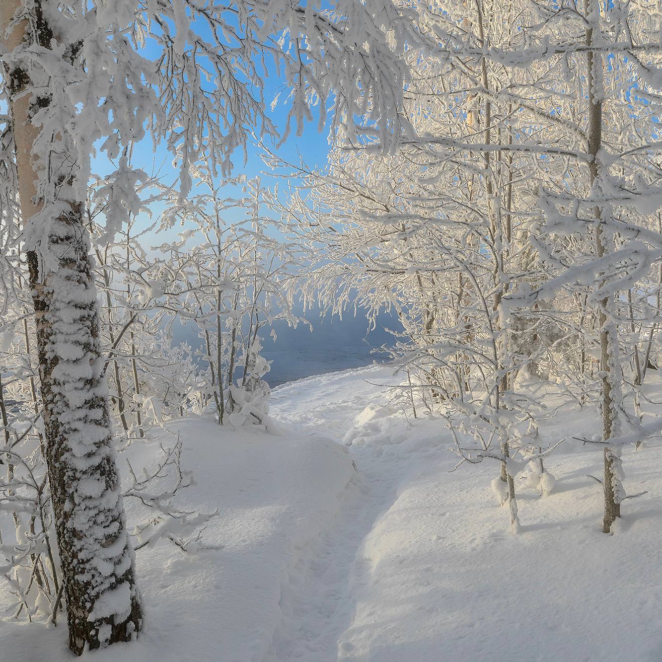 Река Вуокса у Лосево