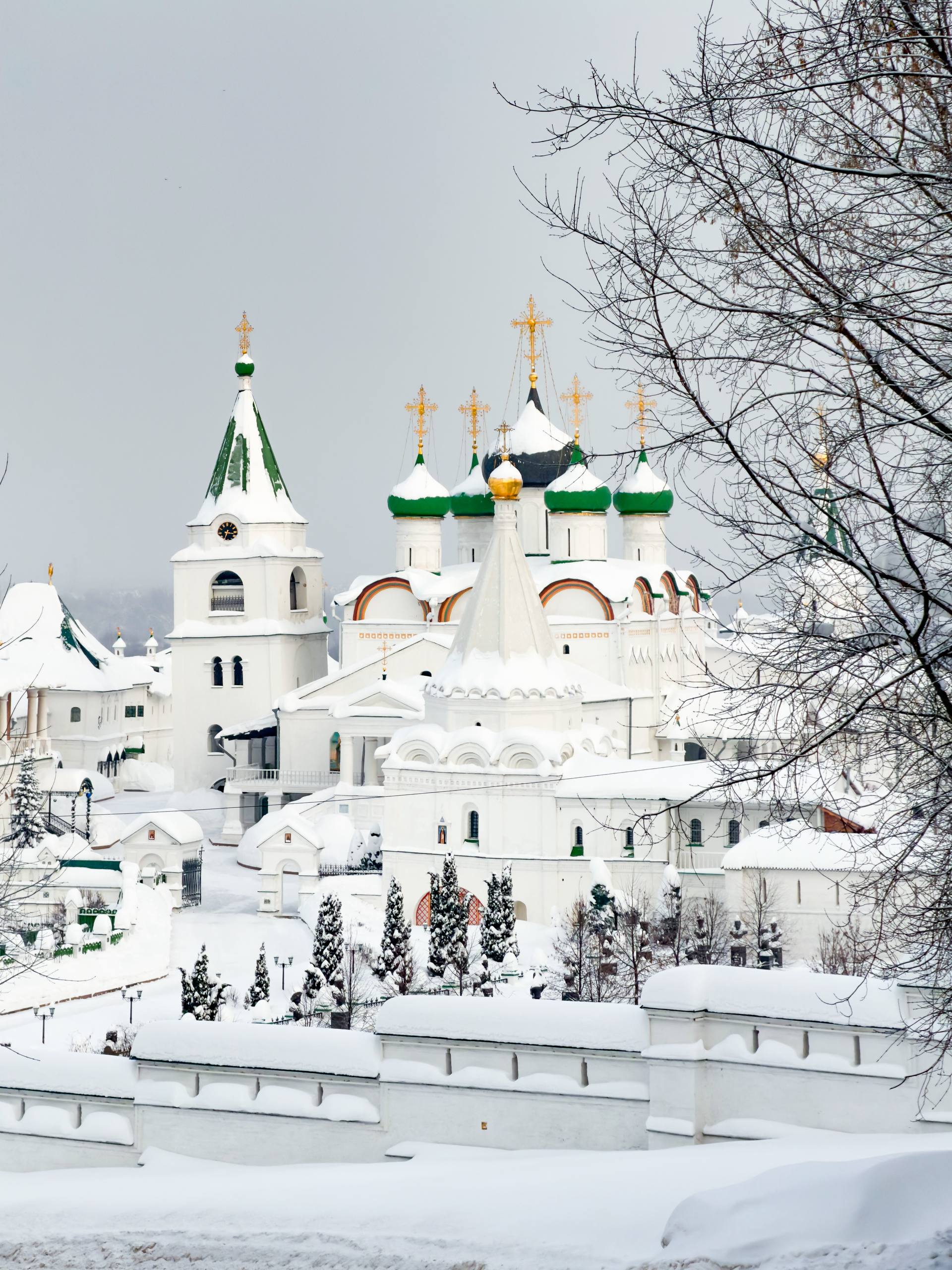 Вознесенский Печерский монастырь