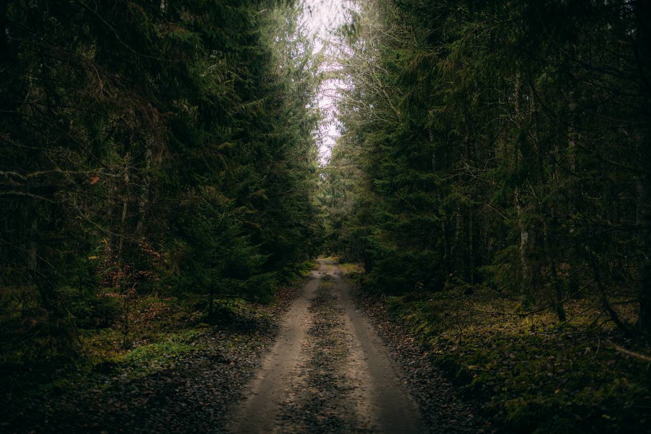 Природа Калининграда