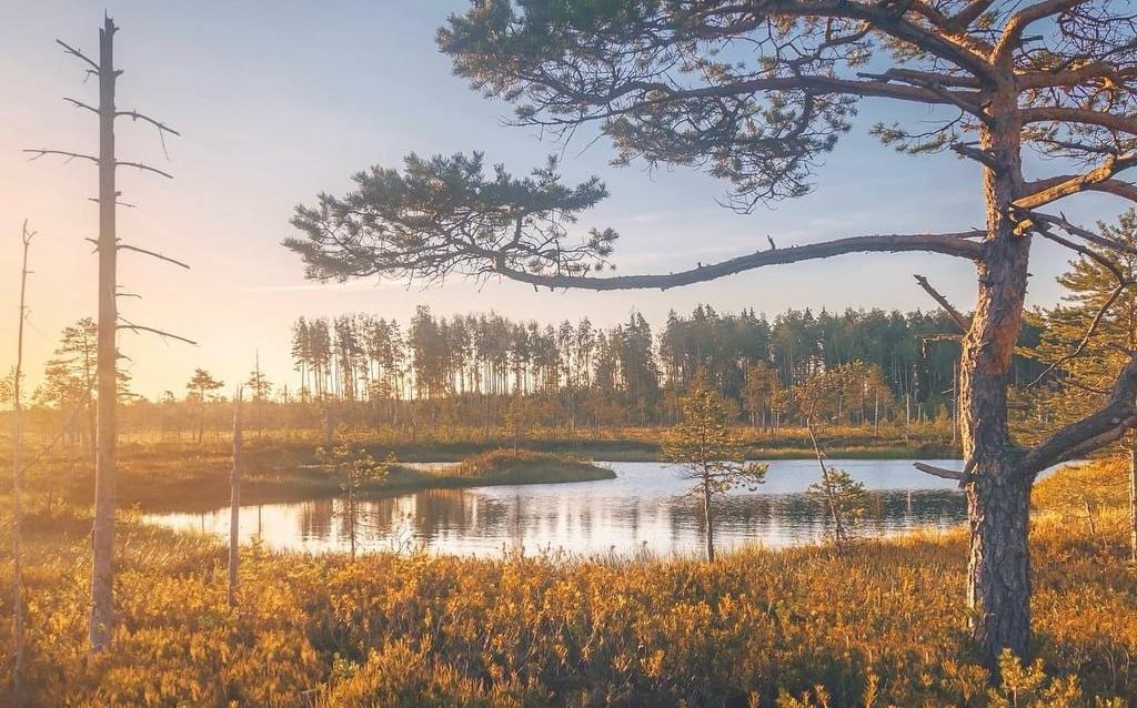 Река Лемовжа, Карелия