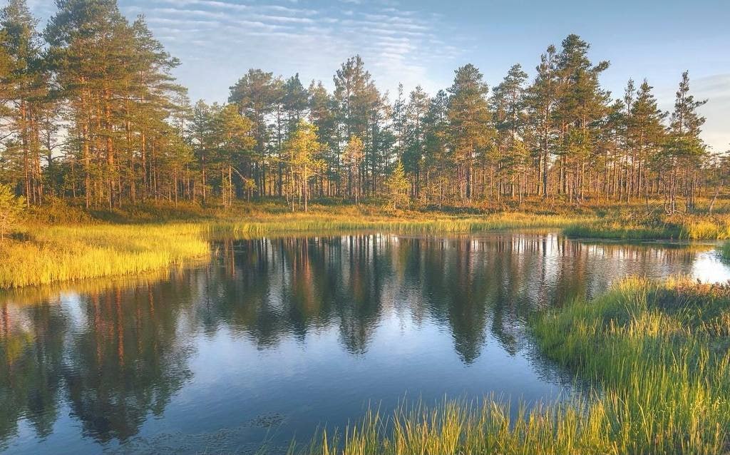 Река Лемовжа, Карелия