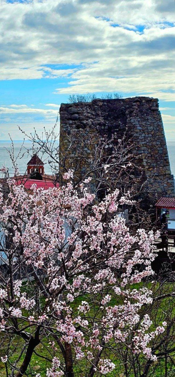 Крепость Алустон