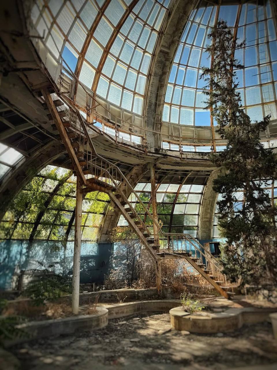 Оранжерея Зимний сад