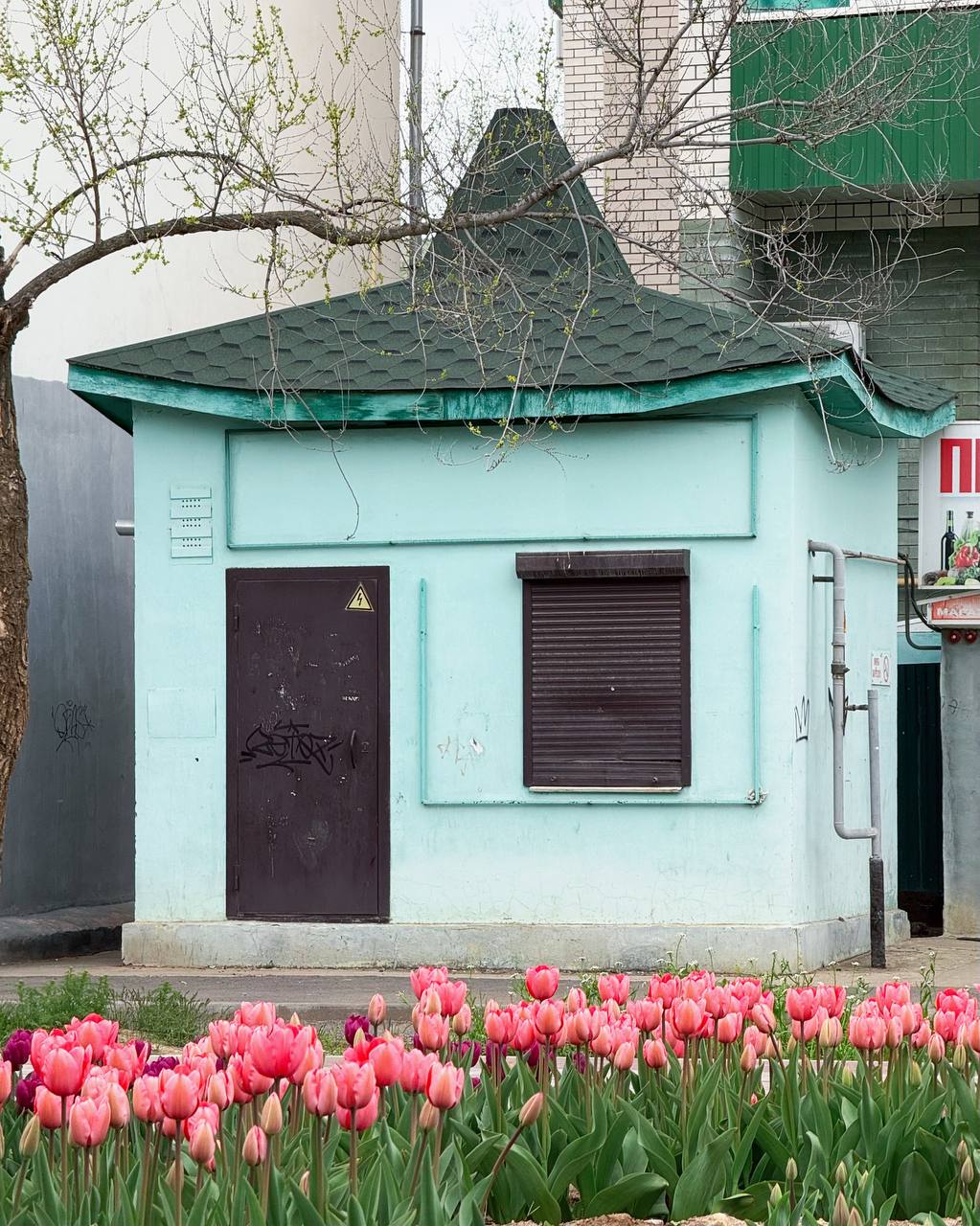 Элиста, Калмыкия
