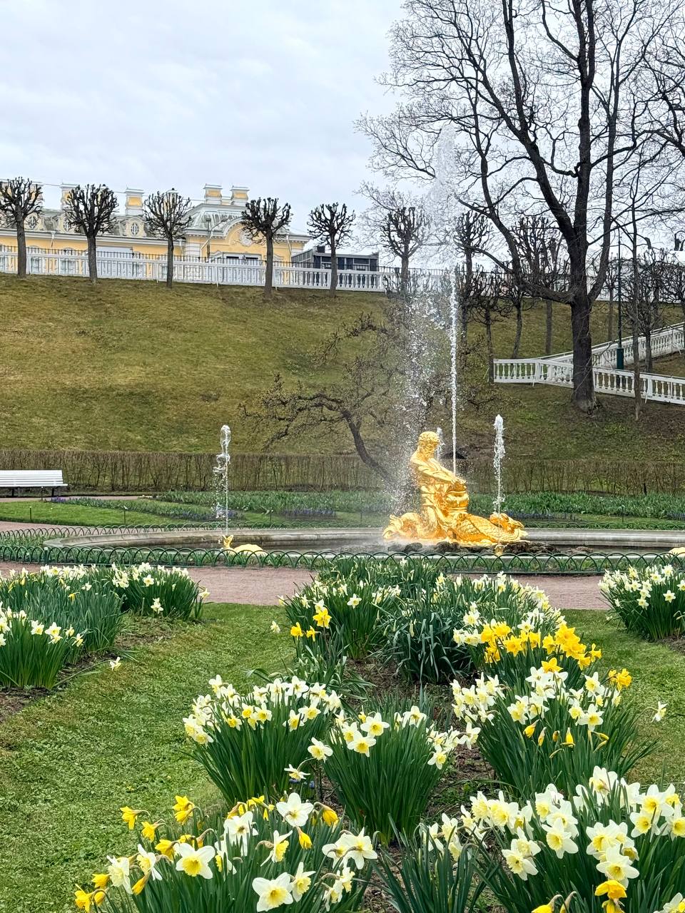 Прогулка по Петергофу