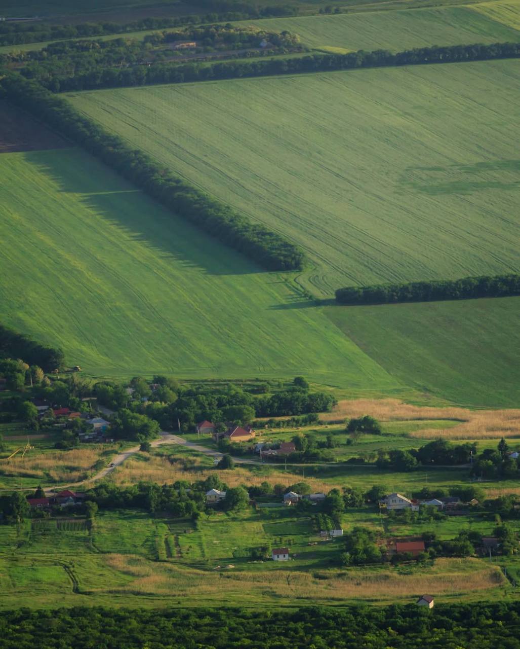 Гора Верблюд