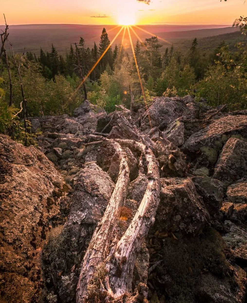 Висимский заповедник