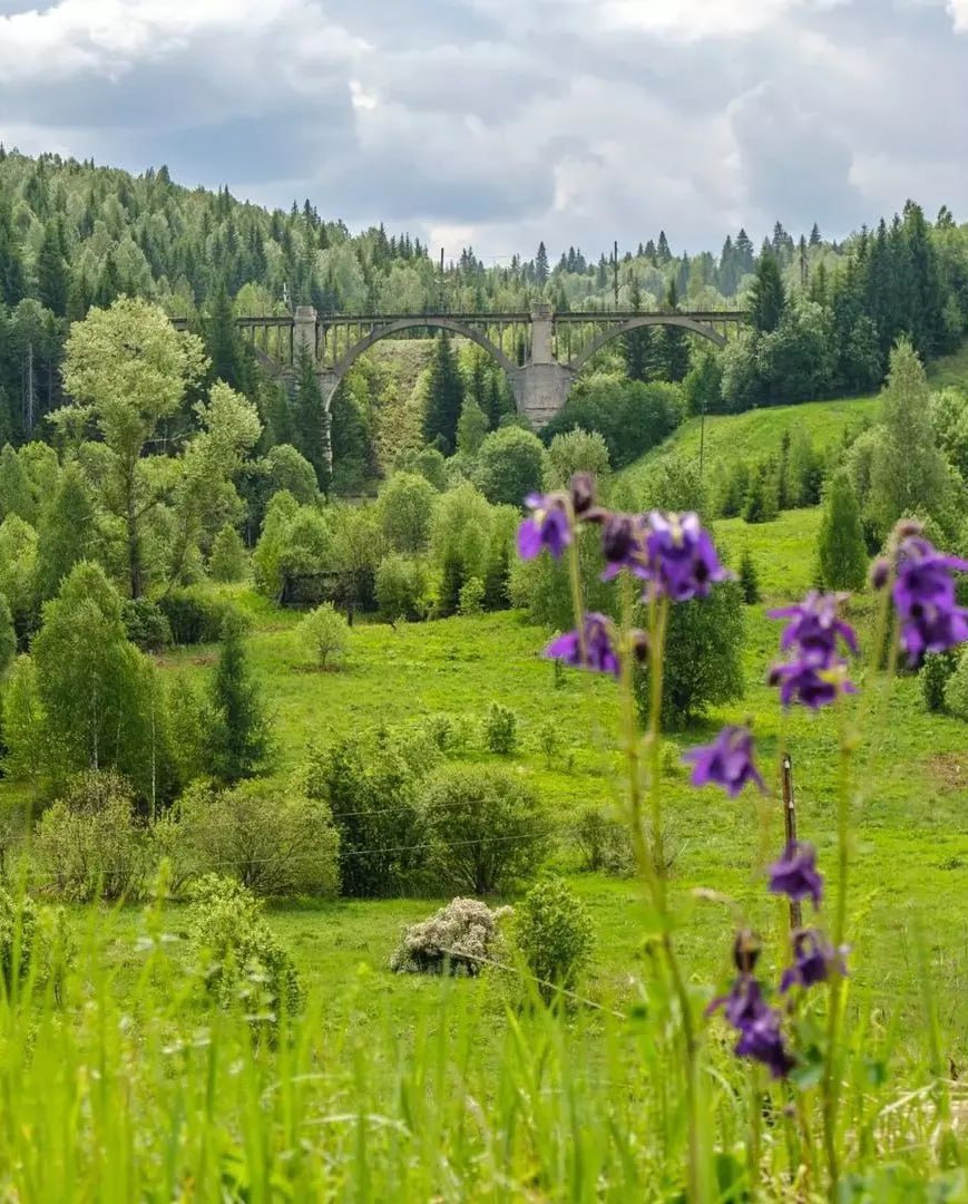 Виадук Чёрная речка