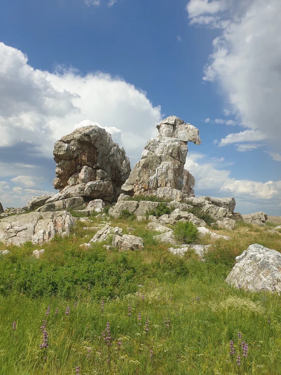 Гора Верблюд
