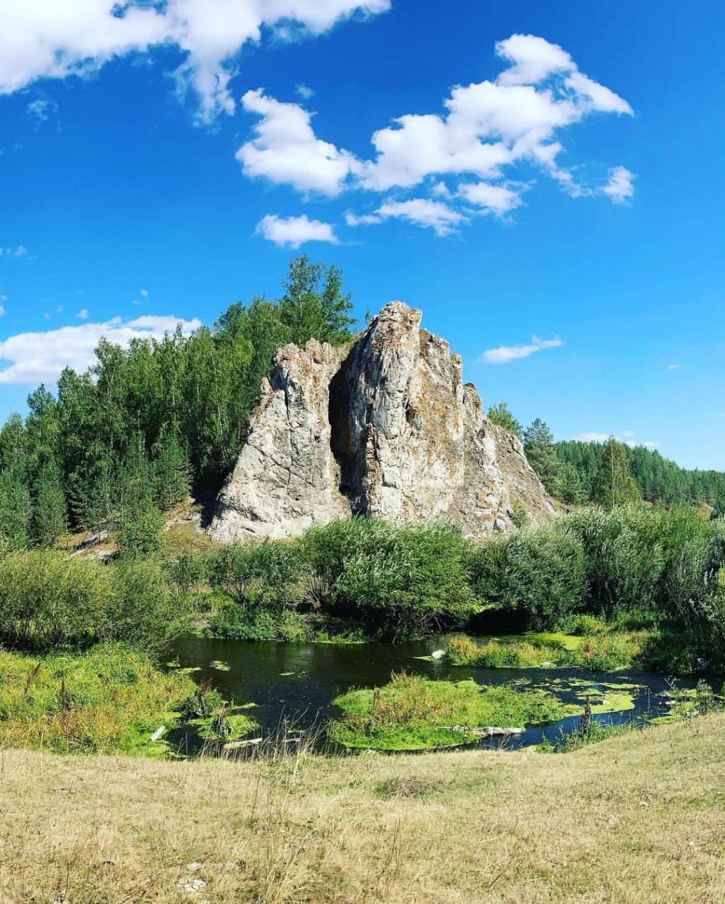Кашинское городище