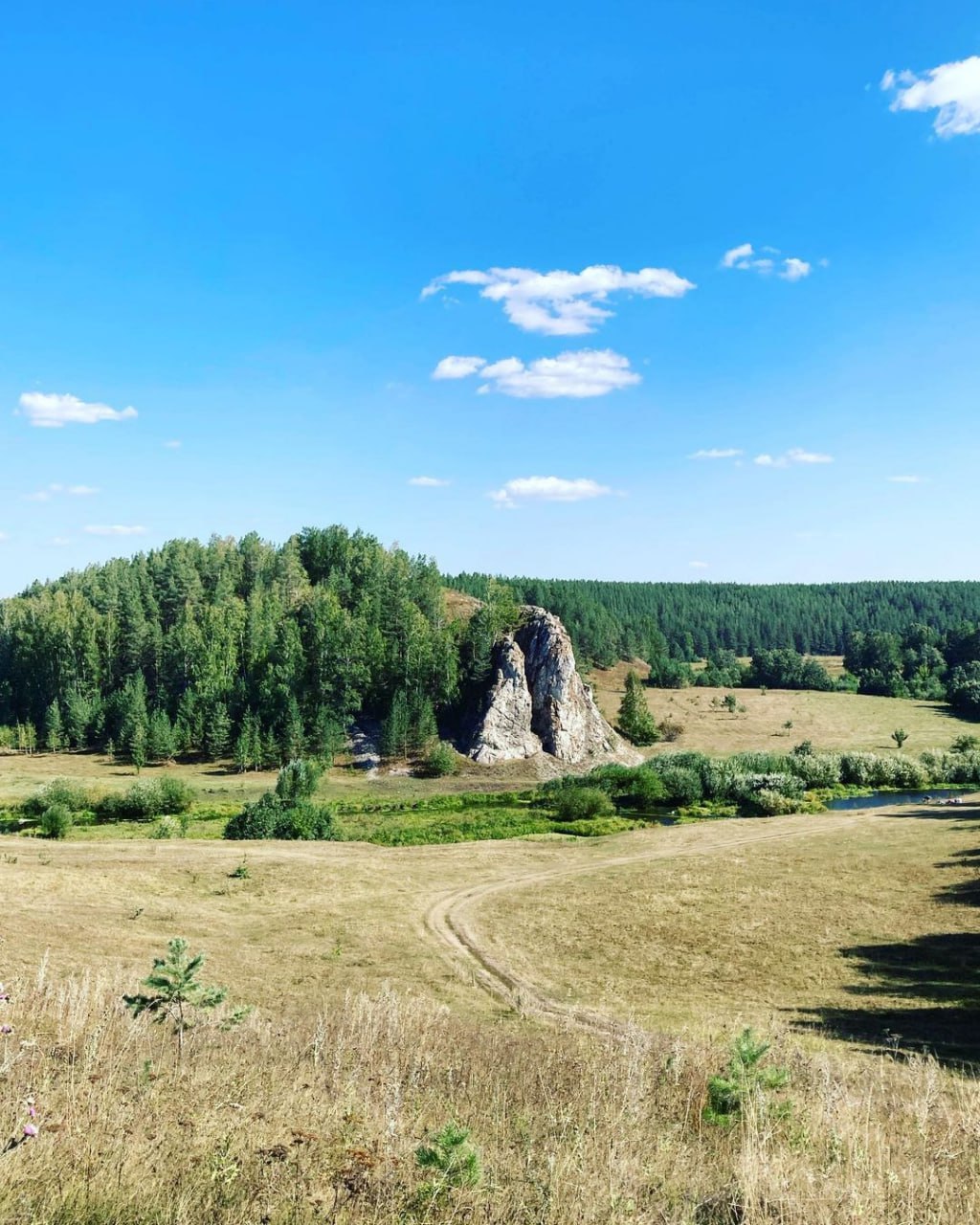 Кашинское городище