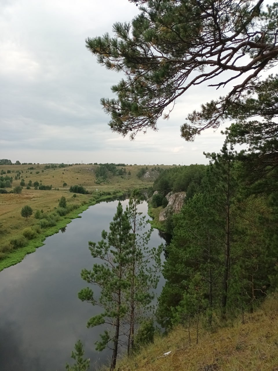 Юлькины слёзы
