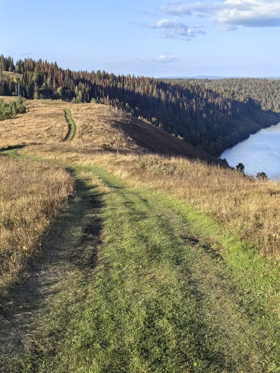 Гора Воронина