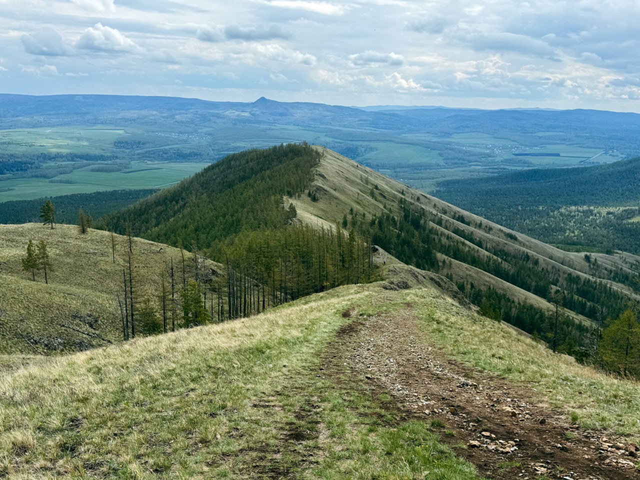 Хребет Большая Крака