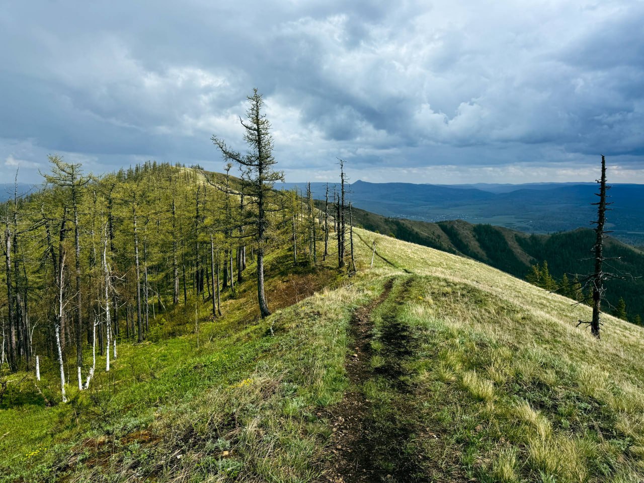 Хребет Большая Крака