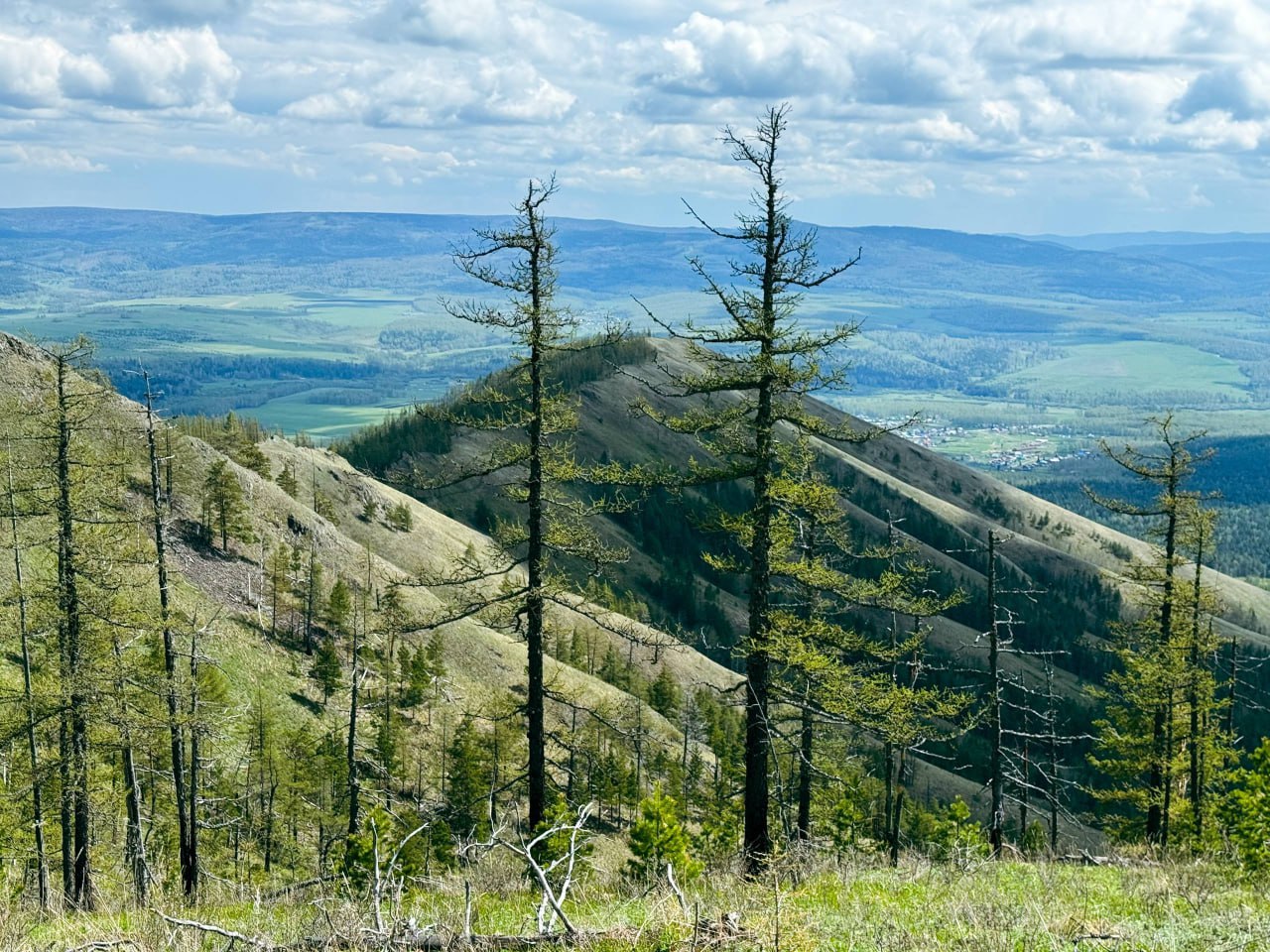 Хребет Большая Крака