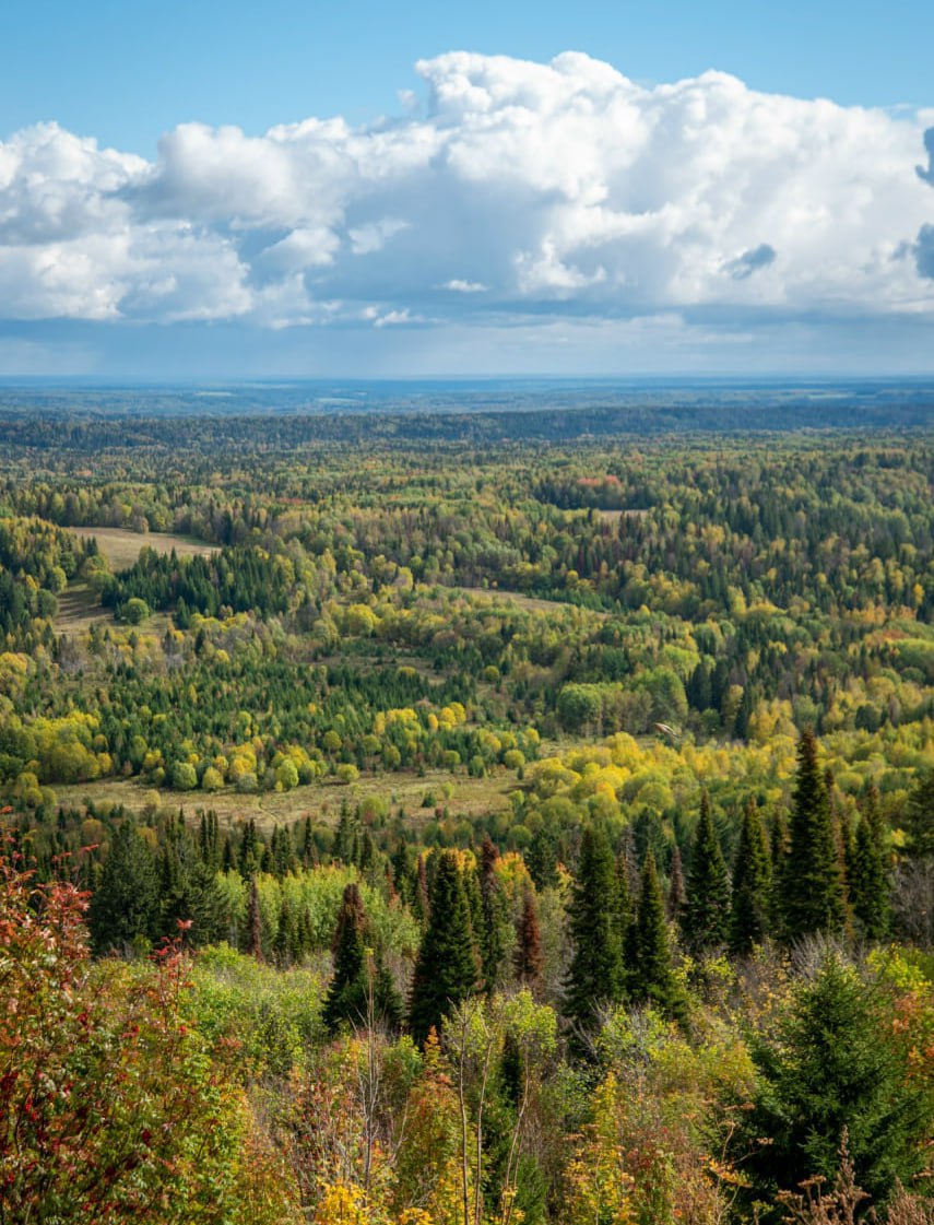 Белая гора