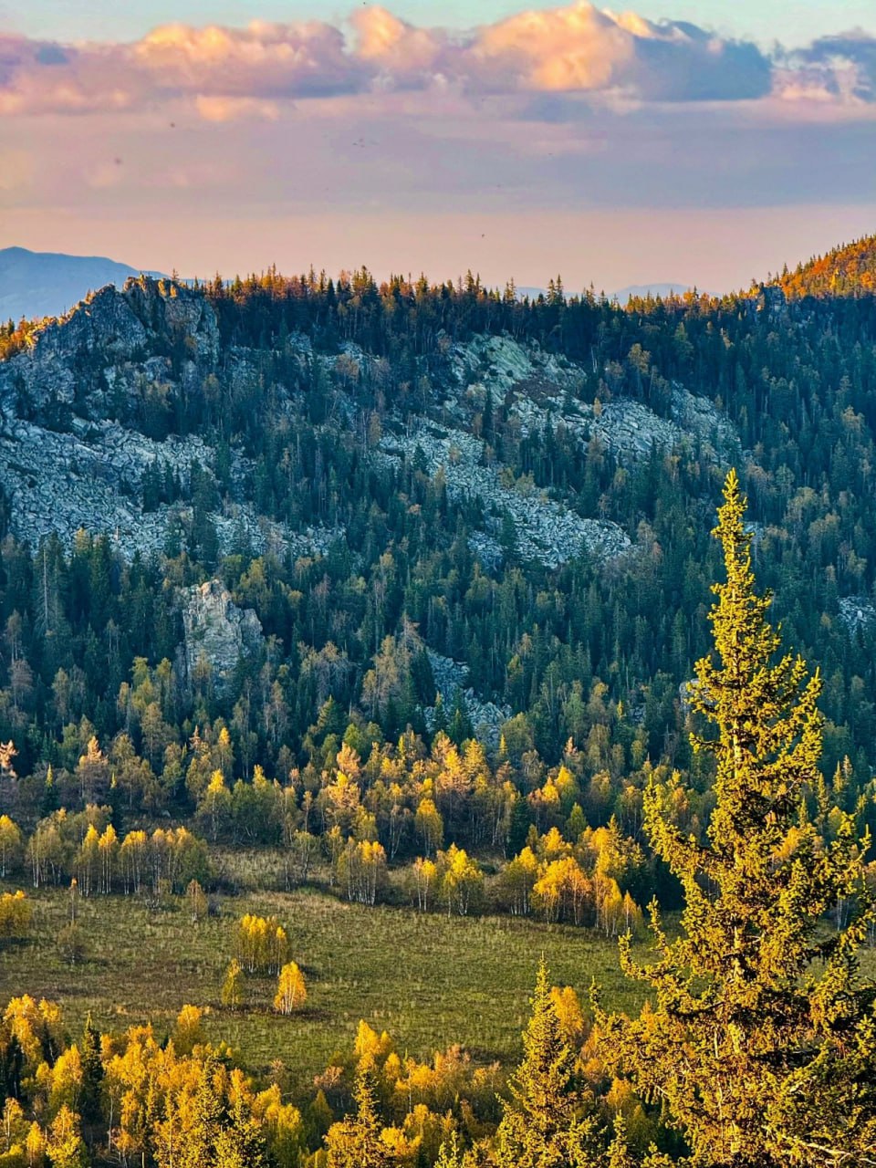Хребет Аурсяк