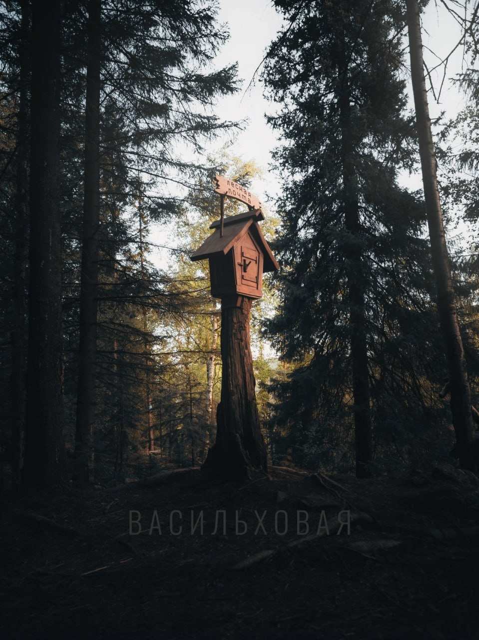 Экотропа Васильховая