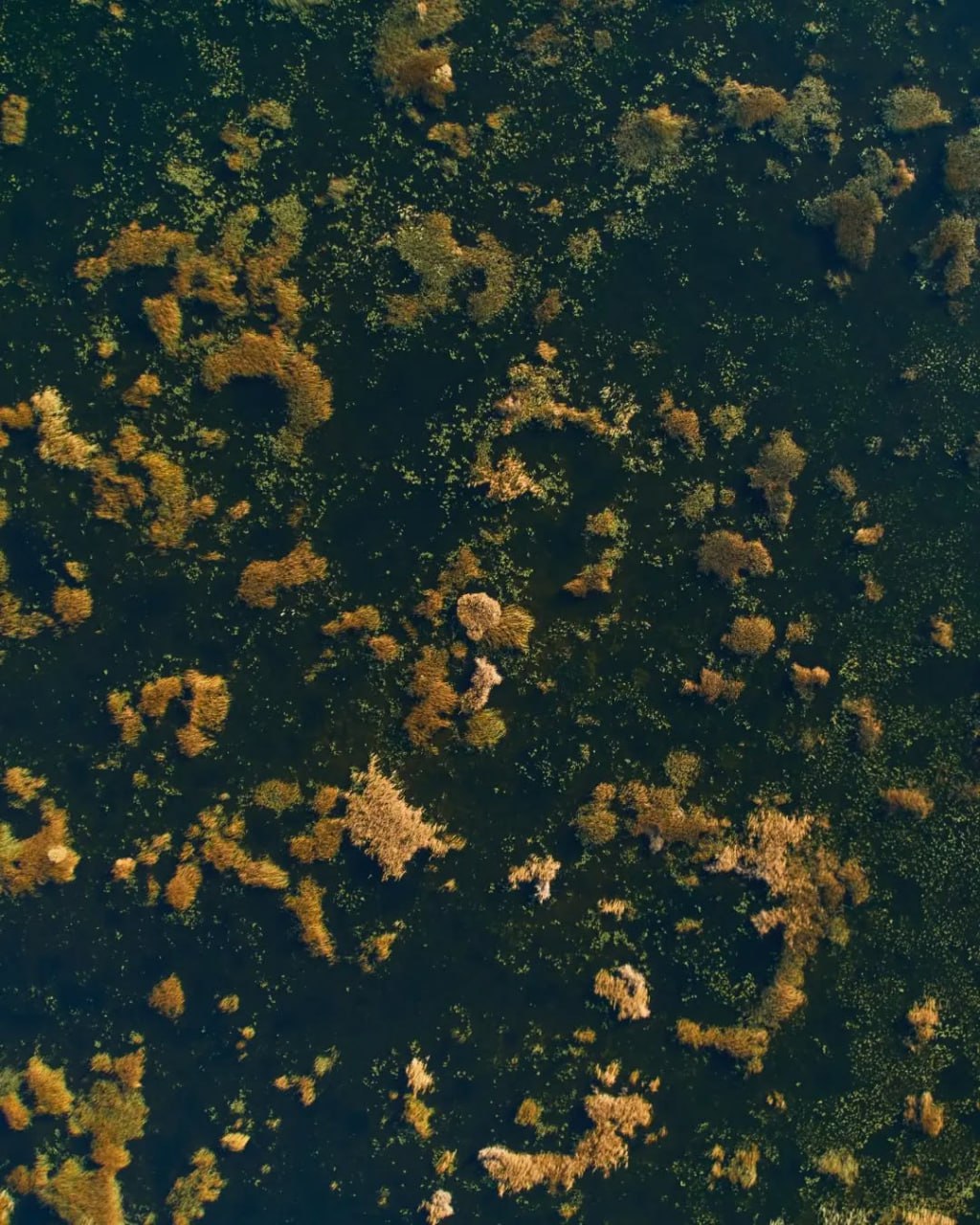 Озеро Черное