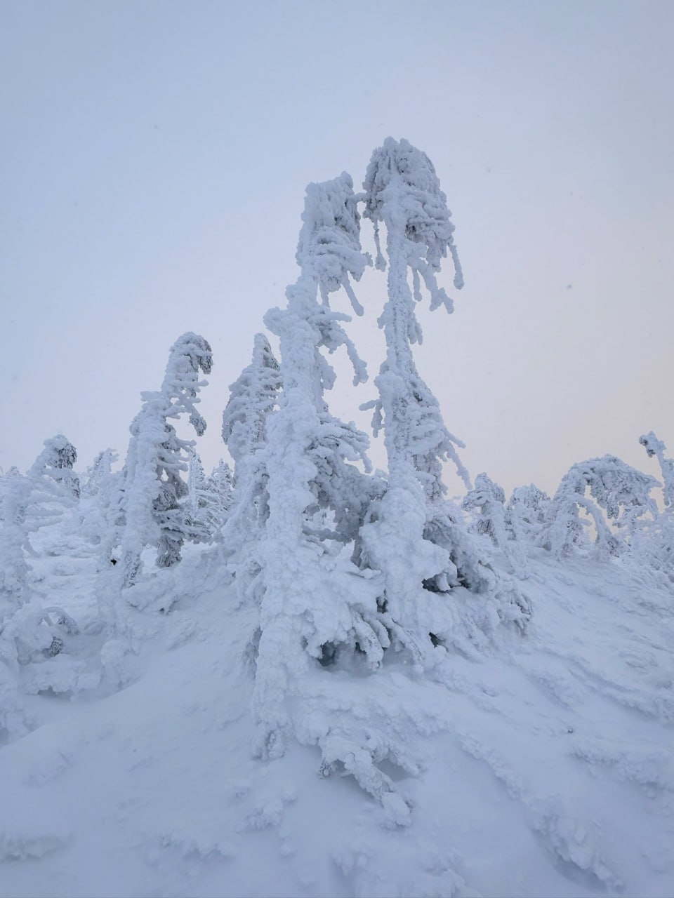 Гора Семичеловечья