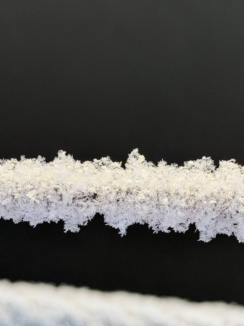 Лесопарк Каштакский бор
