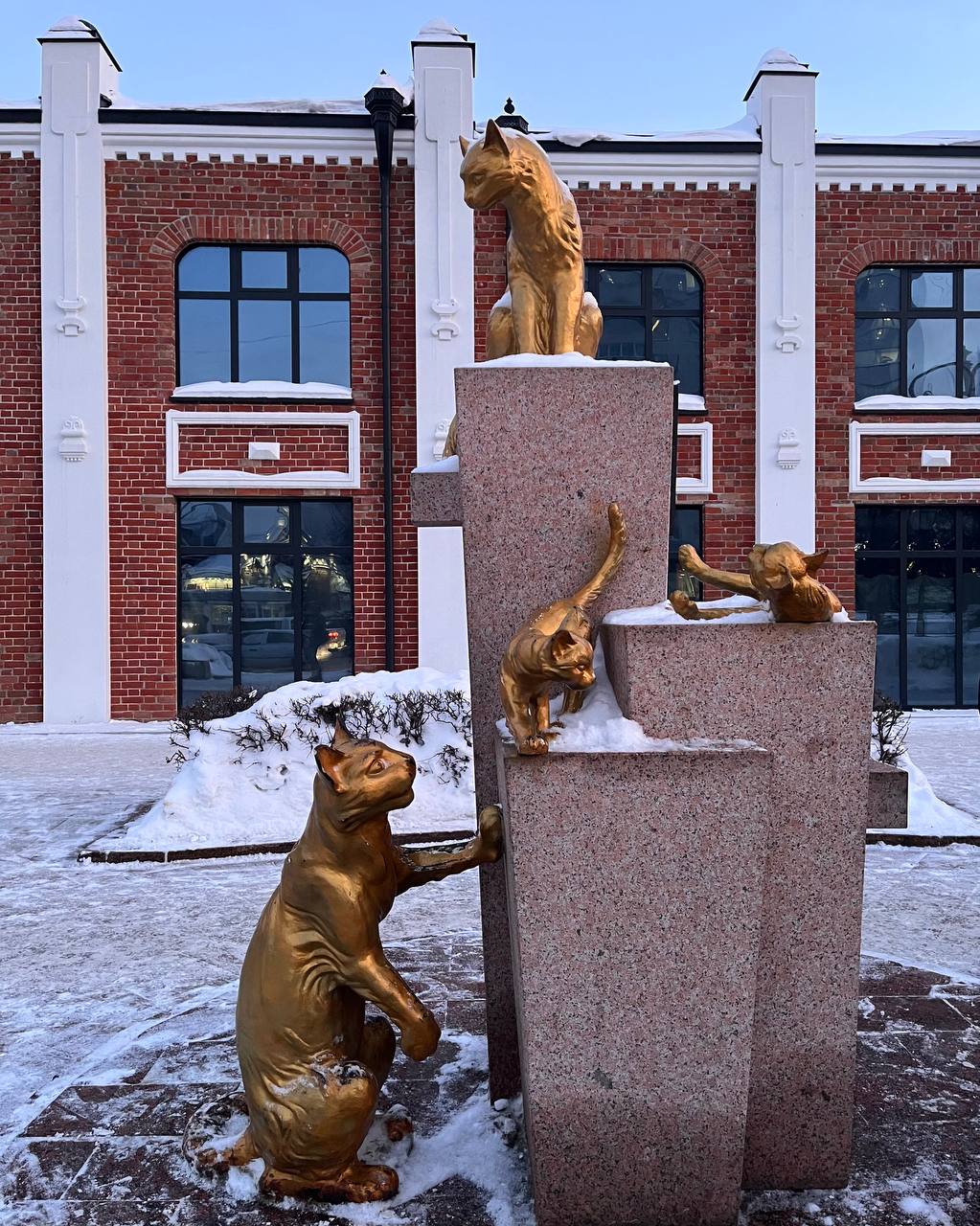 Сквер сибирских кошек