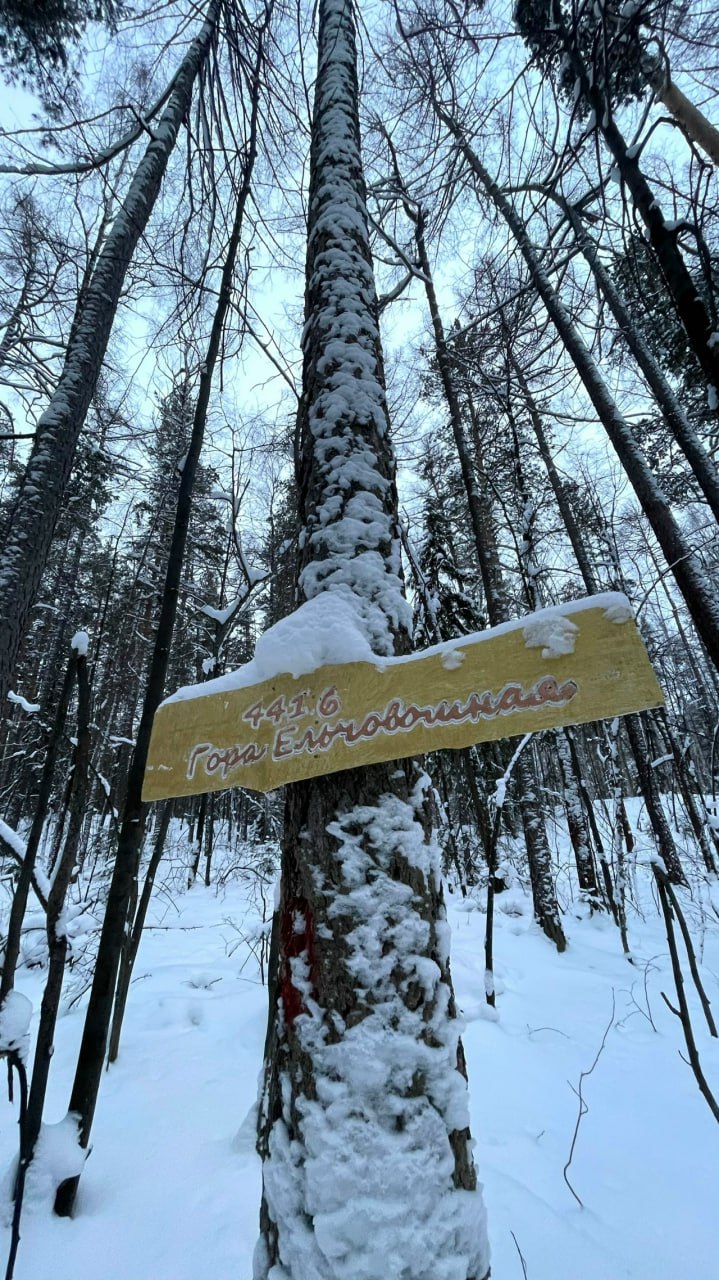 Гора Ельчёвошная