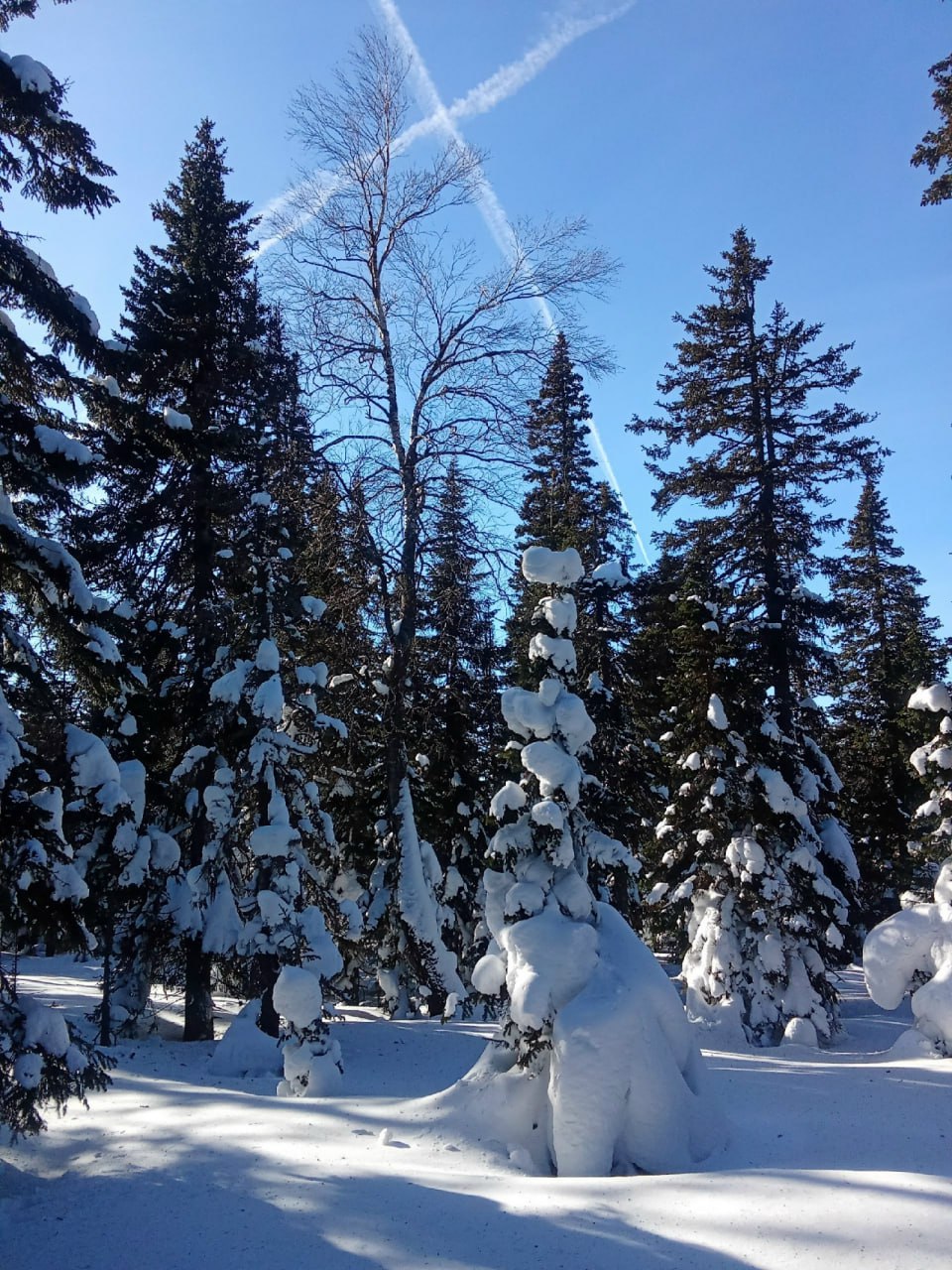 Нижняя тропа, парк Таганай