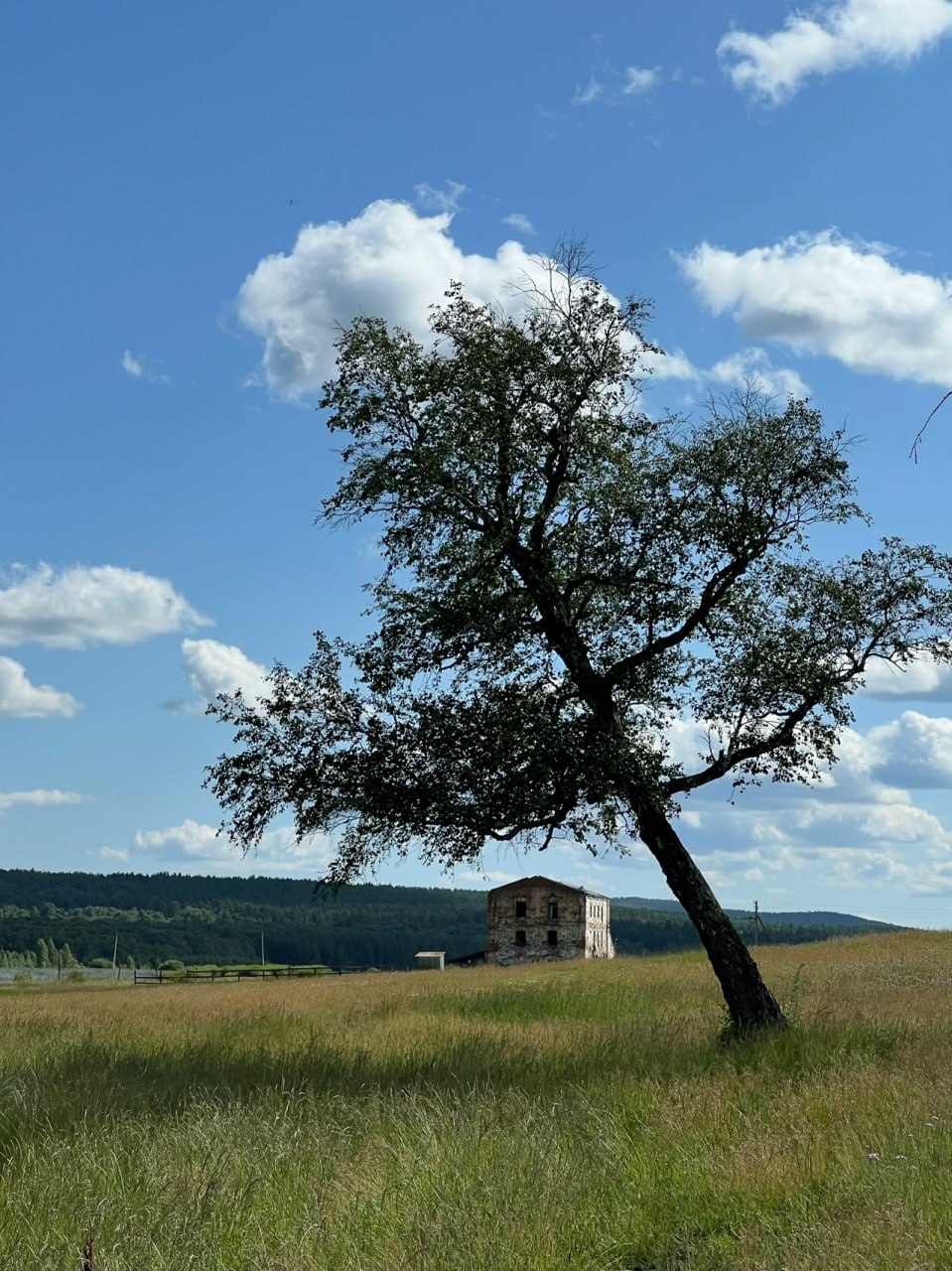 Старая паровая мельница