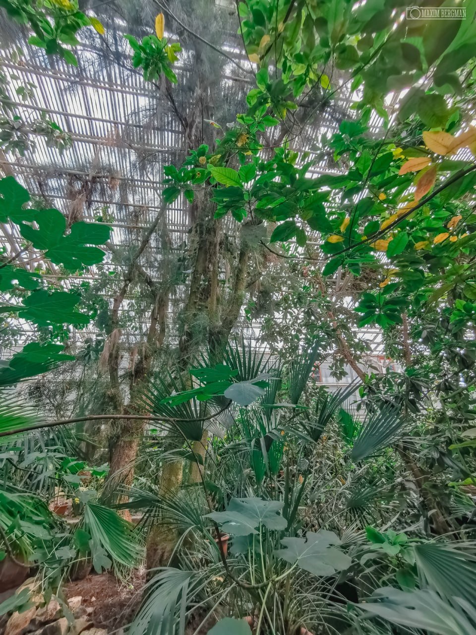 Южно-Уральский ботанический сад