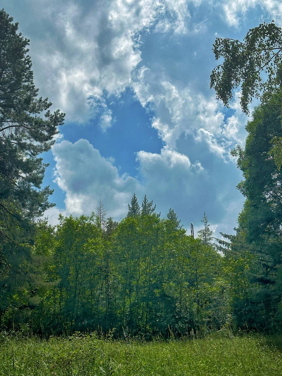 Смотровая площадка, Кисловодск